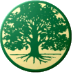 New Approaches to Cancer website